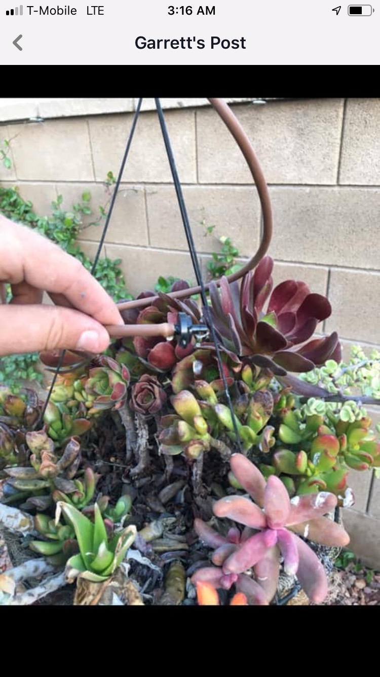 Completed backyard turf installation in Moreno Valley, CA