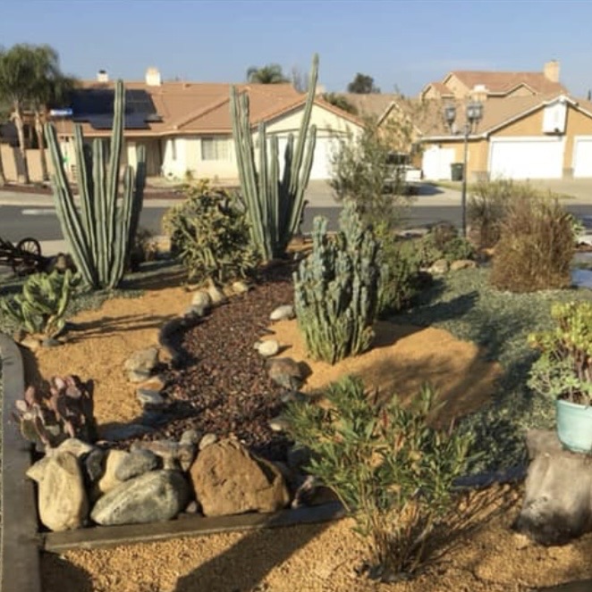 Desert cactus and rock front yard landscaping in the Inland Empire