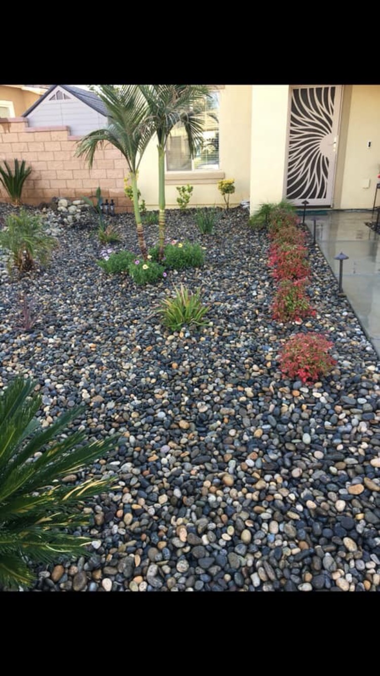 River rock front yard with palms and flowering plantings in Hemet, CA