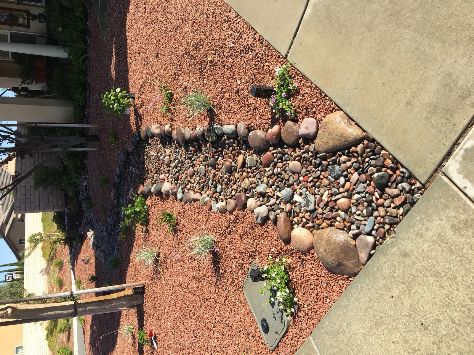 Garden beds with drip irrigation and red rock mulch