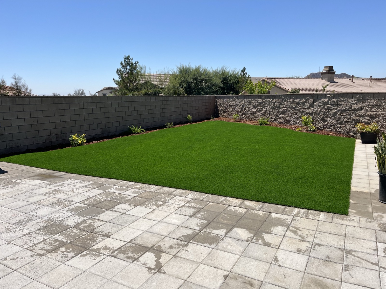 Front yard landscaping design with drought-tolerant plants in Murrieta, Inland Empire