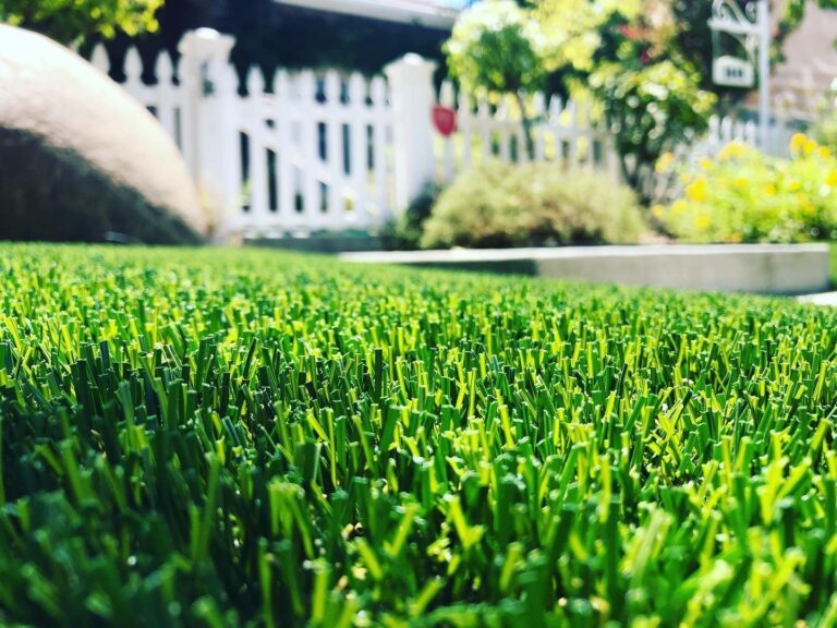 Artificial-grass-in-California