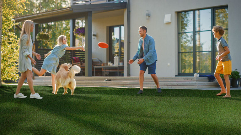 family turf 768x432 1