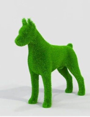 WhatsApp Image 2026 03 02 at 5.27.07 PM